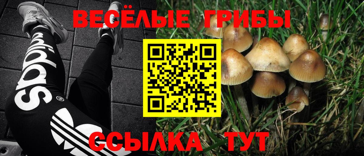 сколько стоит  Галлюциногенные грибы GOLDEN TEACHER  Самара  Вход с VPN  Галлюциногенные грибы ЛСД 